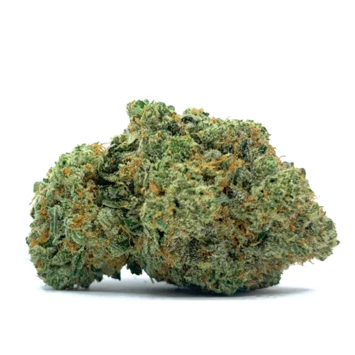 Rainbow Gusher Nug