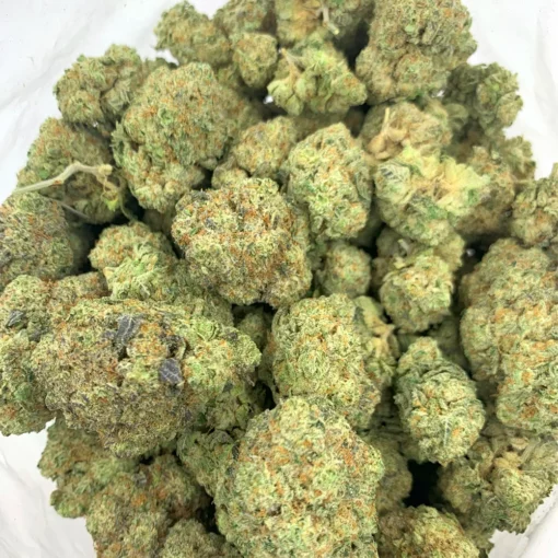 Rainbow Gusher Bulk Flower