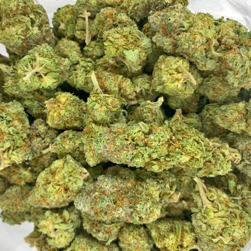 Tropic Thunder Bulk Flower