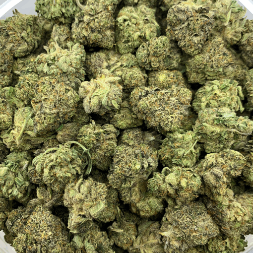 Biscotti cannabis flower closer u[