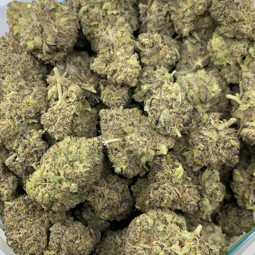 purple haze full shot