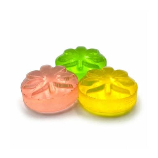 Assorted Flavour Gummies by Trippy Treats (240mg)