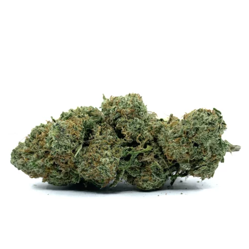 Mint Chocolate Gelato - 28g