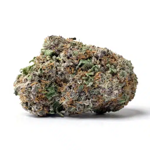 Purple Gods Gift
